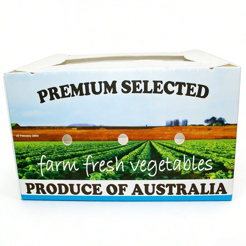 PP Corrugated Plastic Vegetable Box