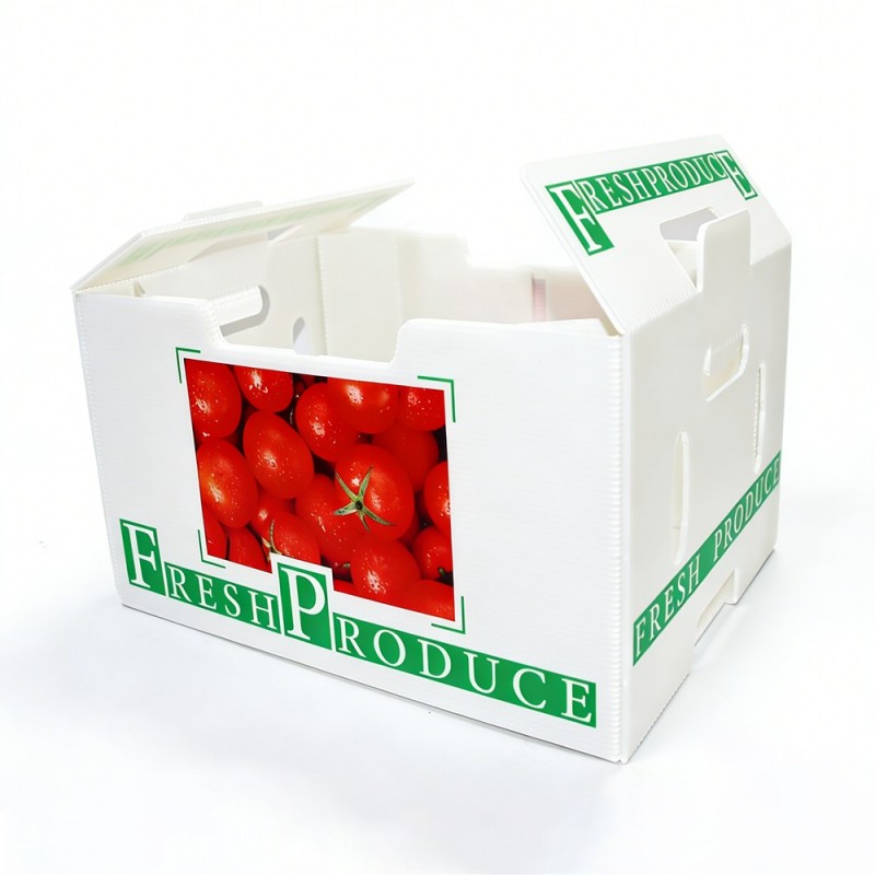 PP corrugated vegetable packaging box