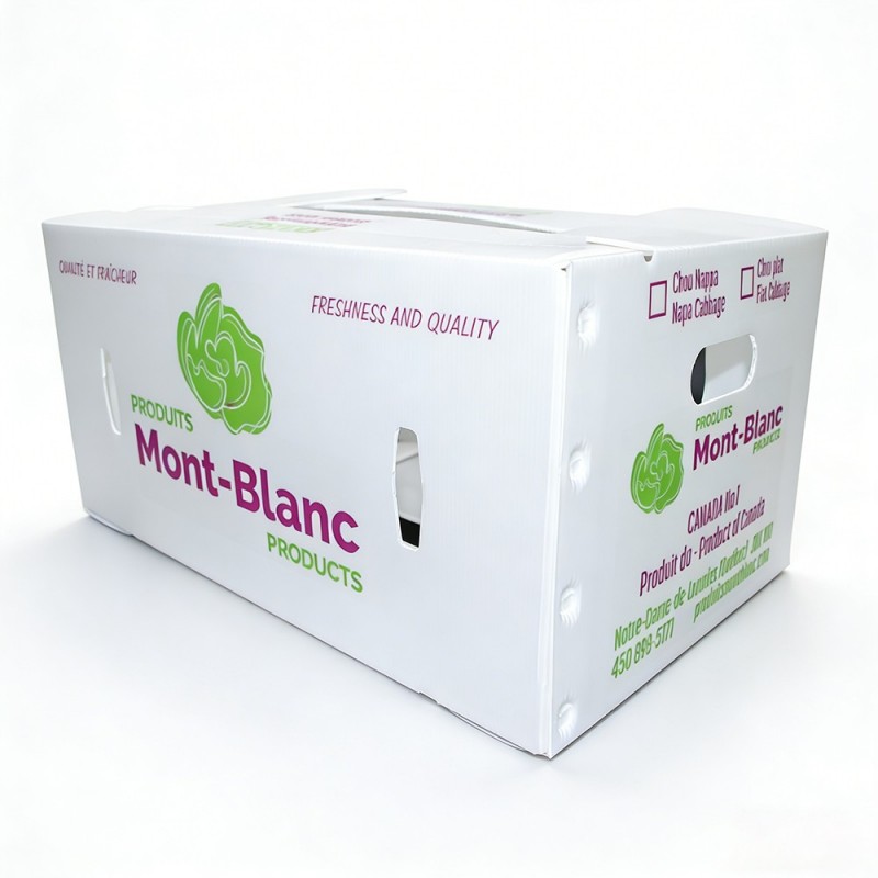 Ventilated plastic vegetable box for farm fresh produce