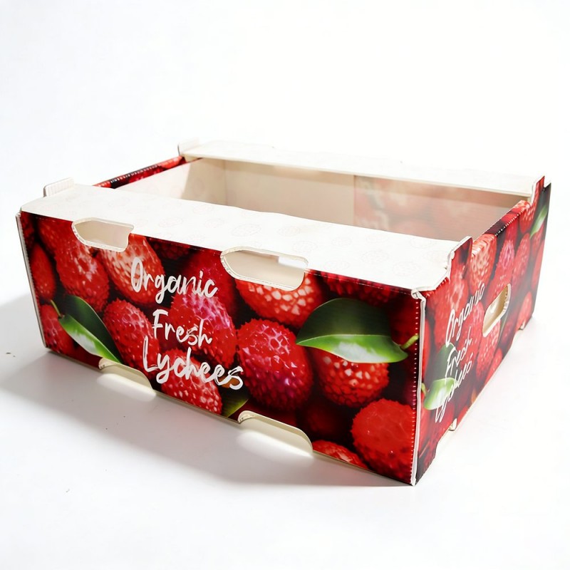 PP Corrugated Plastic Fruit Box