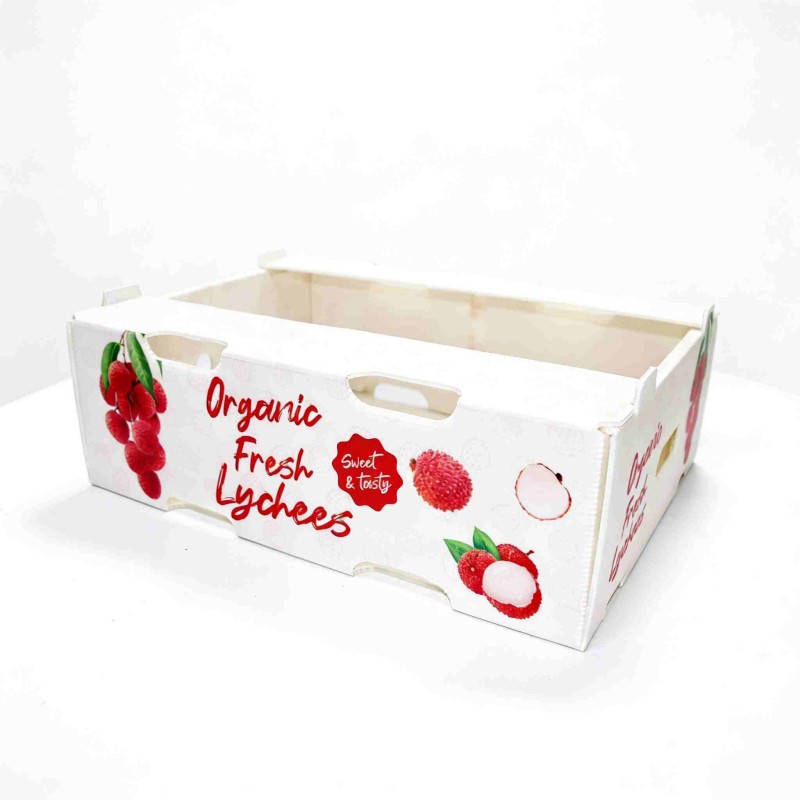 PP corrugated fruit packaging box