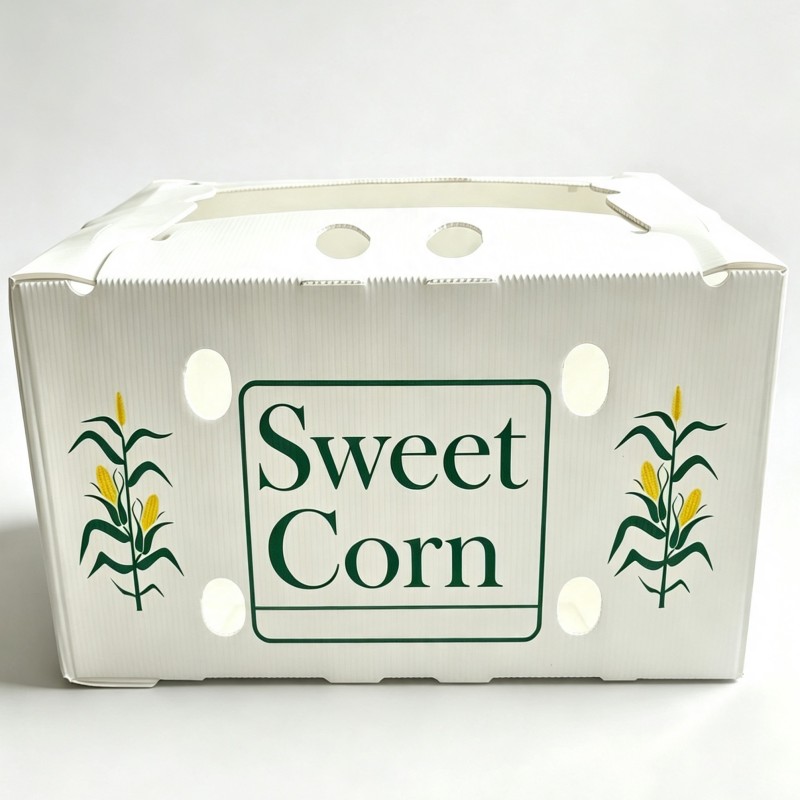 PP Corrugated Sweet Corn Box Ventilated Farm Shipping